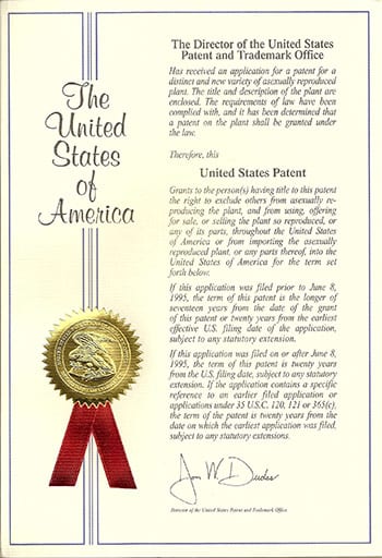 Arbor America Patent